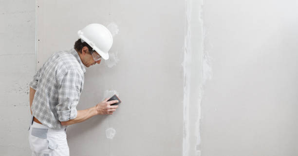 Mold Documentation for Insurance Claims in St Helen, MI