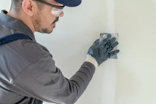 Best Mold Documentation for Insurance Claims  in St Helen, MI