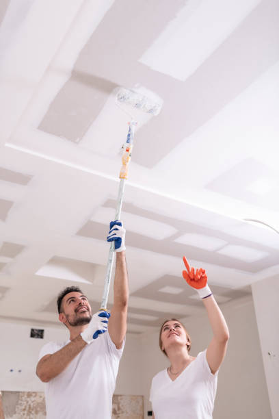 Best Water Damage & Mold Remediation  in St Helen, MI