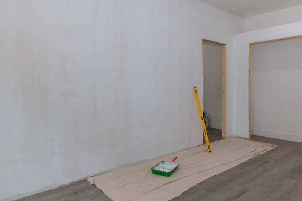 Best Emergency Mold Remediation  in St Helen, MI