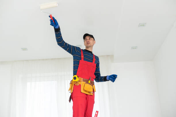 Best Mold Prevention Services  in St Helen, MI