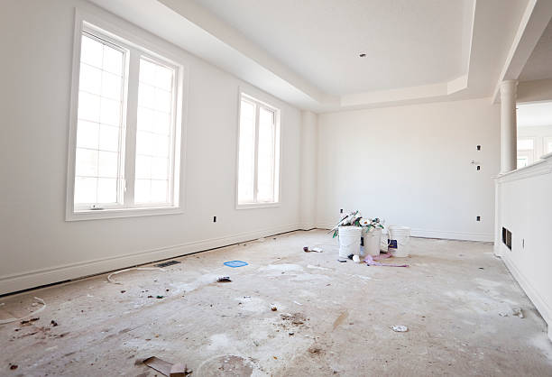 Best Attic Mold Removal  in St Helen, MI
