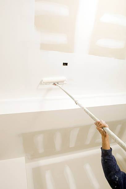 Best Mold Remediation for Healthcare Facilities  in St Helen, MI