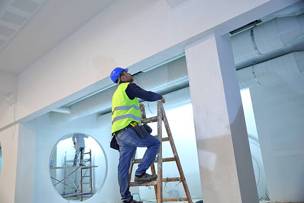 Trusted St Helen, MI Mold Removal Experts
