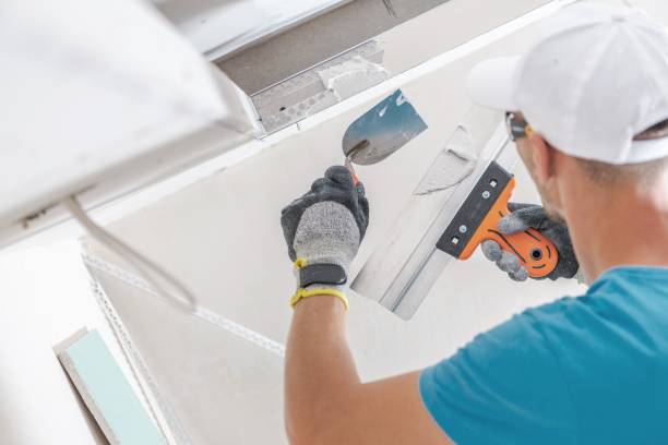 Best Post-Construction Mold Inspection  in St Helen, MI